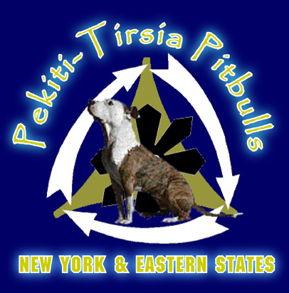 Back to the home page