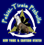 The PT Pitbulls